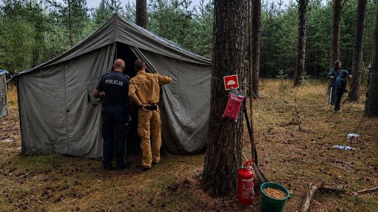 250 osób zbudowało własne miasteczko w środku lasu. Lubelscy harcerze pokazują, jak wygląda prawdziwy obóz