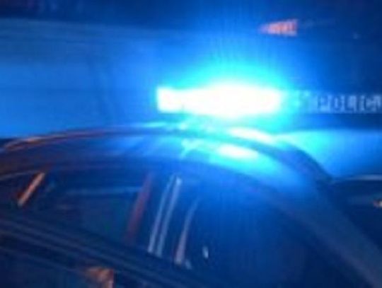 17-LATKA ZABŁĄDZIŁA W LESIE. ODNALEŹLI JĄ POLICJANCI