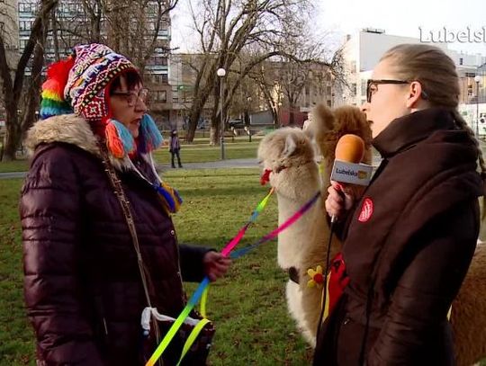 28. Finał Wielkiej Orkiestry Świątecznej Pomocy w Lublinie - relacja cz.1