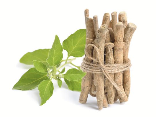 Ashwagandha, rozmaryn, ginkgo – rośliny, które wspierają zdrowie