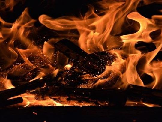 Czy warto kupić sezonowane drewno kominkowe?*