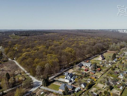 Dla ochrony Starego Gaju – lasu cennego dla przyrody i mieszkańców