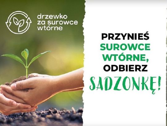 Drzewko za surowce wtórne