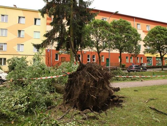 Dzień po nawałnicy w Kraśniku ( ZDJĘCIA )