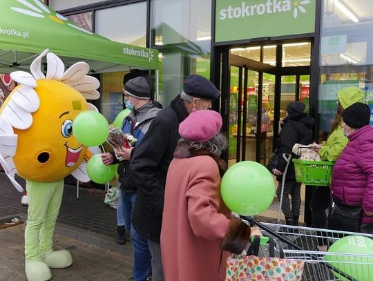 Dzisiaj wielki dzień Stokrotki – otwarcie 13 sklepów, w tym to wyjątkowe – 800.