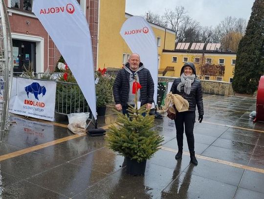 Ekoland i Veolia rozdały 150 choinek 