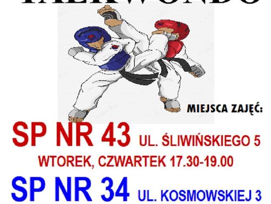 Ferie z Taekwondo *