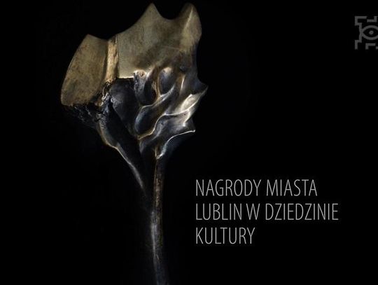 Filmowe rekomendacje do Nagrody Miasta Lublin za Upowszechnianie Kultury w 2019 r.*