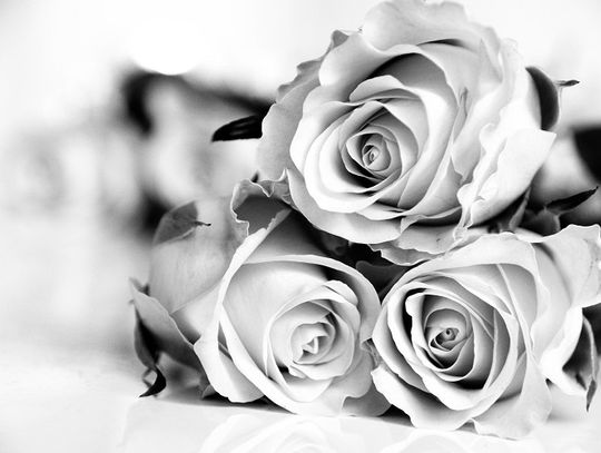 Fototapeta znowu w modzie