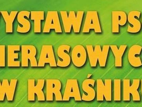 I wystawa psów nierasowych w Kraśniku!