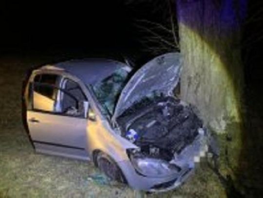 JAZDA PO ALKOHOLU ZAKOŃCZONA NA DRZEWIE