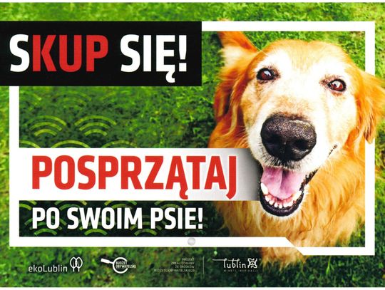 Kolejne działania Miasta w ramach akcji „Sprzątaj po swoim psie”