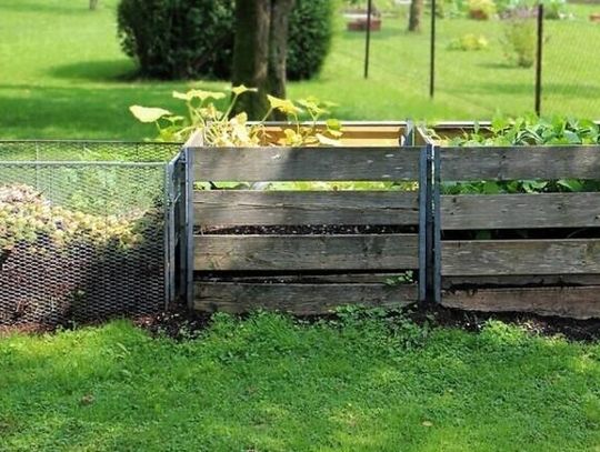 Kompostownik – przyjazny dla środowiska i domowego budżetu