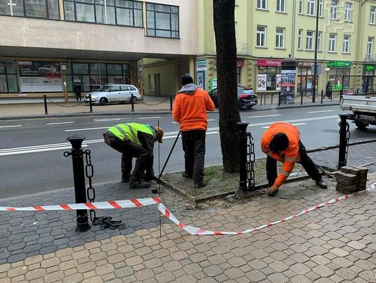 Krakowskie Przedmieście z nowymi krzewami
