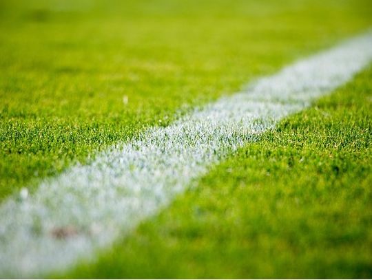 Legalni bukmacherzy internetowi