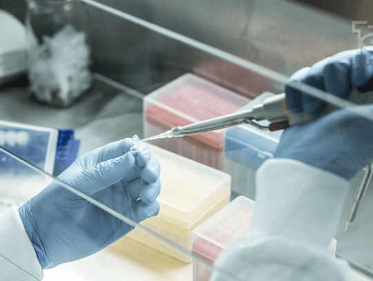 Lubelscy naukowcy na prestiżowej liście najlepszych badaczy z całego świata*