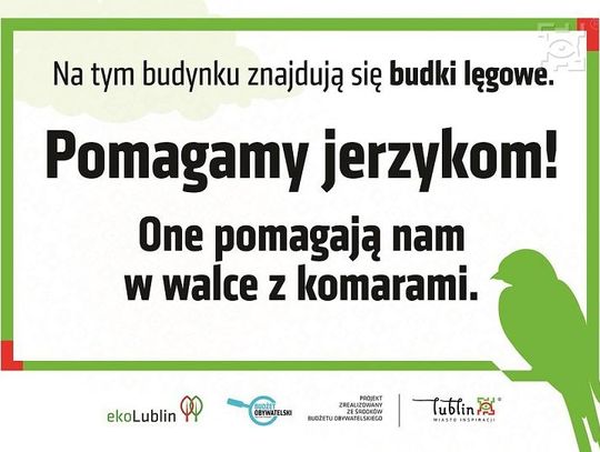 Lublin zadba o jerzyki i nietoperze