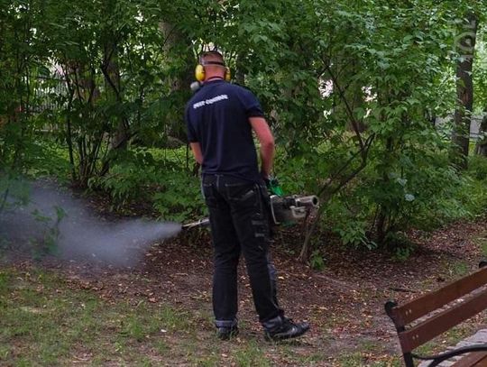 Miasto przeprowadzi akcję odkomarzania*