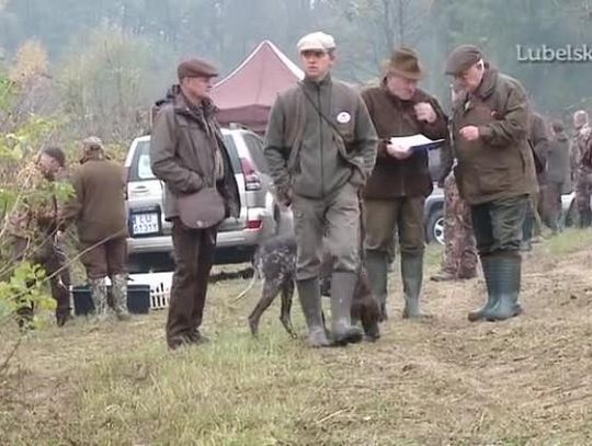 Międzynarodowy konkurs psów myśliwskich