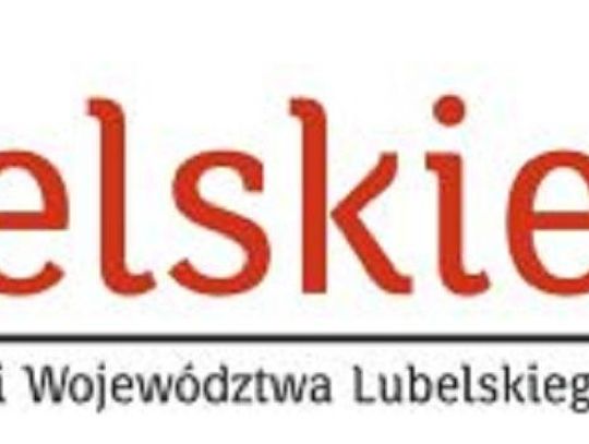 Minimalny spadek liczby bezrobotnych w lipcu w województwie lubelskim*