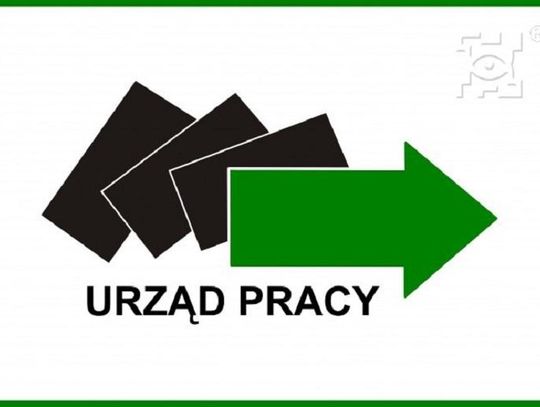 MUP opracował program, który wzmocni lokalny rynek pracy*