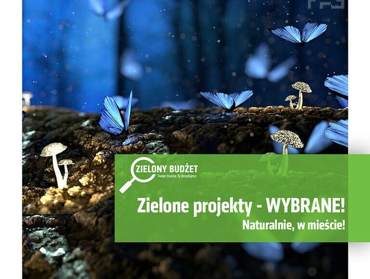 „Naturalnie, w mieście!” – 11 projektów w 9 dzikich zakątkach