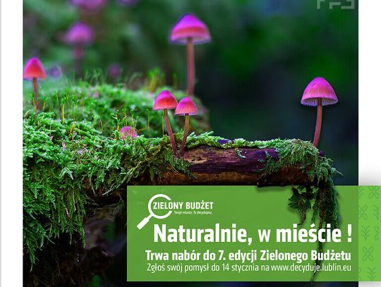 Naturalnie, w mieście! – trwa nabór projektów Zielonego Budżetu