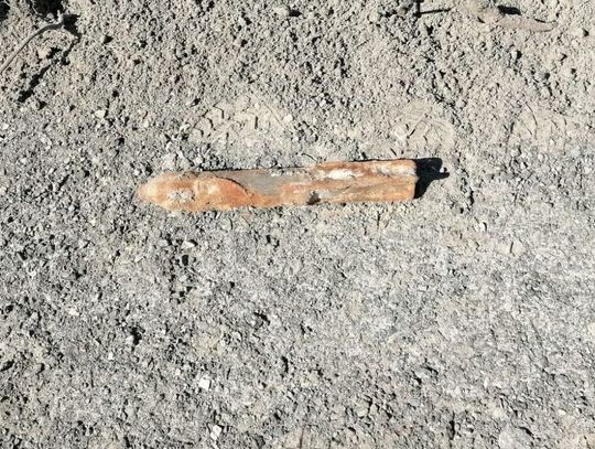 Niewypał wykopany podczas remontu drogi