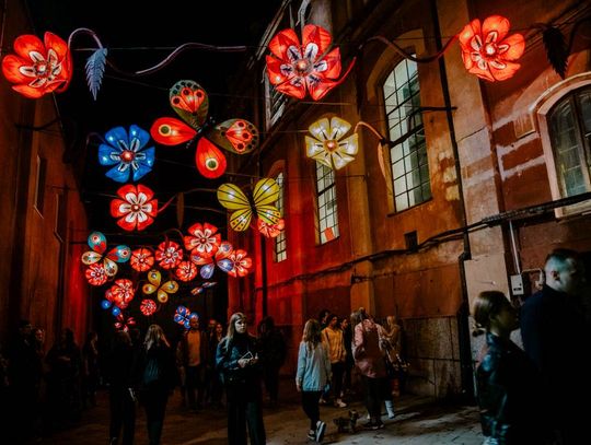 Noc Kultury z naturą w tle – poznaj botaniczne atrakcje tegorocznej edycji!