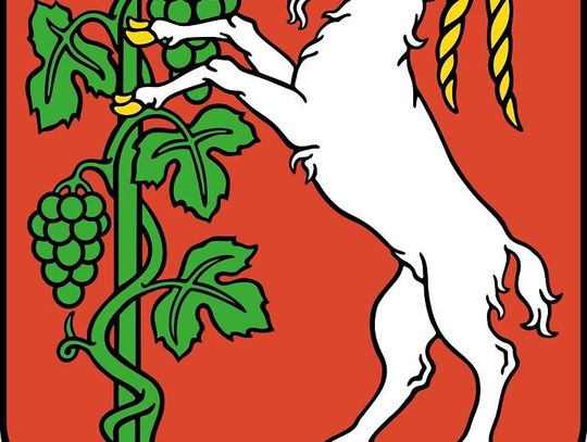 Nowe Rady: Miasta i Powiatu