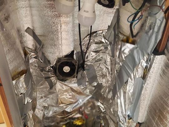 Odpowiedzą za posiadanie narkotyków