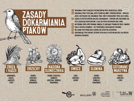 Odpowiedzialne dokarmianie ptaków zimą