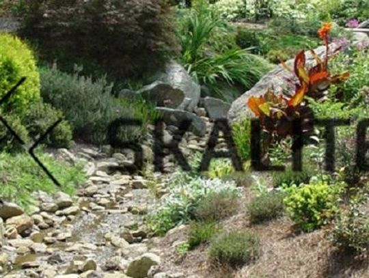 Ogródek skalny - jak prawidłowo go założyć samemu - Poradnik DIY *