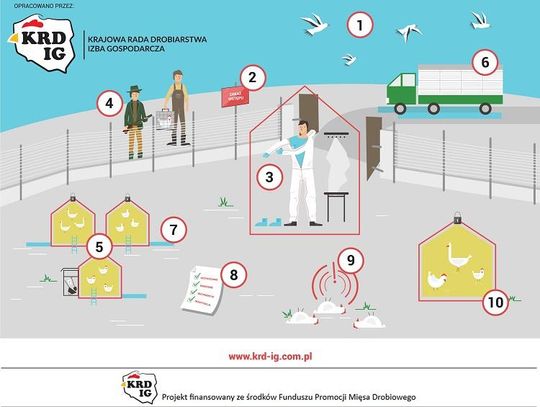 Oświadczenie Krajowej Rady Drobiarstwa –Izby Gospodarczej w sprawie wystąpienia w 2019 roku ogniska grypy ptaków u drobiu w Polsce *