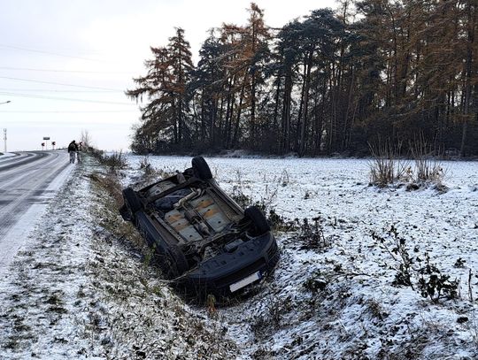 Pierwsze przymrozki zbierają żniwa