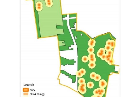 Plany zabudowy Górek do kosza - co jest w raporcie przyrodników? *