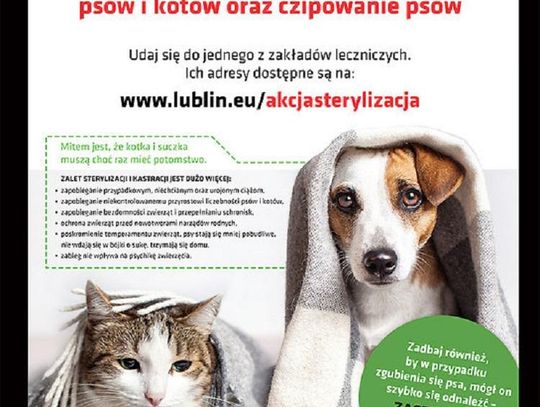 Podsumowanie akcji bezpłatnej sterylizacji psów i kotów*