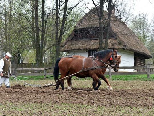 POKAZ WIOSENNYCH PRAC POLOWYCH