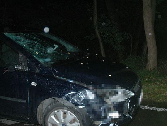 POLICJA OSTRZEGA. Lubartów: Śmiertelne potrącenie rowerzysty w Michowie