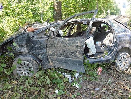 Policja ostrzega. Zamość: Wjechał Citroenem w drzewo *