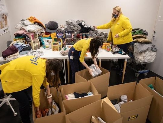 Ponad pół tony darów dla zwierząt ze schronisk w woj. lubelskim