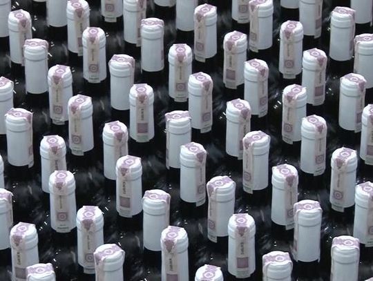 Produkty najlepsze - wina