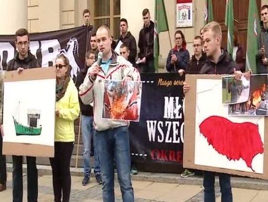 Przeciwko imigrantom i polityce UE. Protest środowisk prawicowych