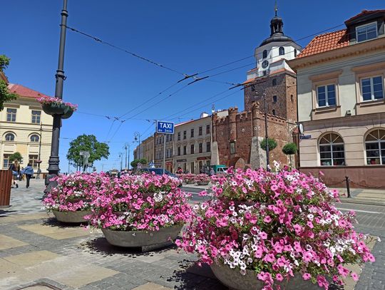 Przed Bramą Krakowską i na ul. Królewskiej pojawiły się nowe kwiatowe kompozycje