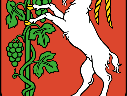 Rekordowa liczba pomysłów do Zielonego Budżetu *