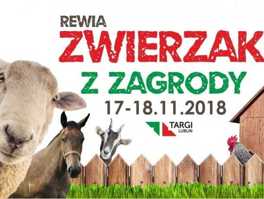 Rewia Zwierzaki z Zagrody - relacja z wystawy
