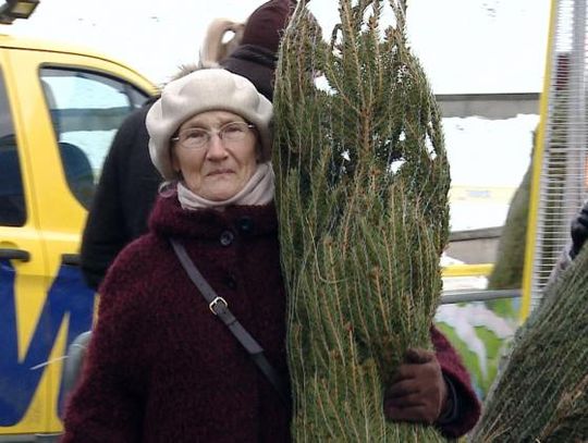 Rozdano darmowe choinki na Placu Zamkowym