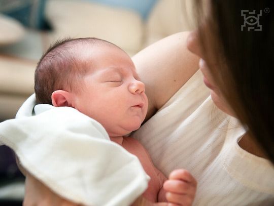 Rusza miejski program leczenia niepłodności metodą in vitro