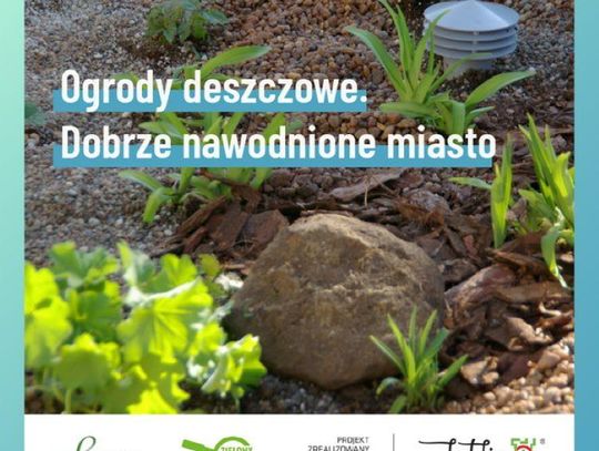 Rusza projekt  „Ogrody deszczowe. Dobrze nawodnione miasto"