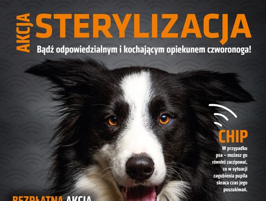 Ruszyła kolejna edycja akcji bezpłatnej sterylizacji psów i kotów